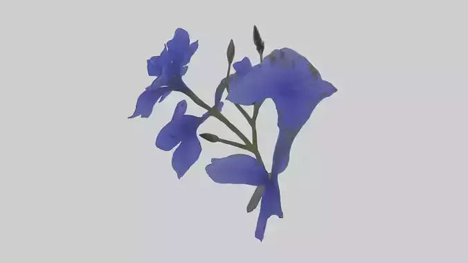 3D model Lobelia model VR / AR / low-poly