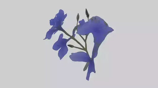 3D model Lobelia model VR / AR / low-poly