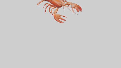 3D model Lobster Body VR / AR / low-poly
