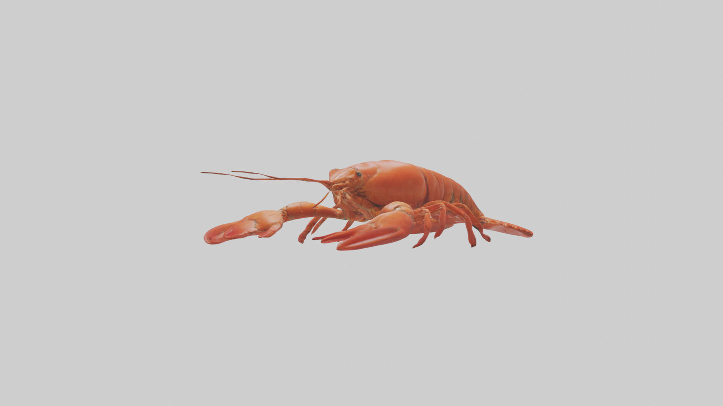 3D model Lobster Body VR / AR / low-poly