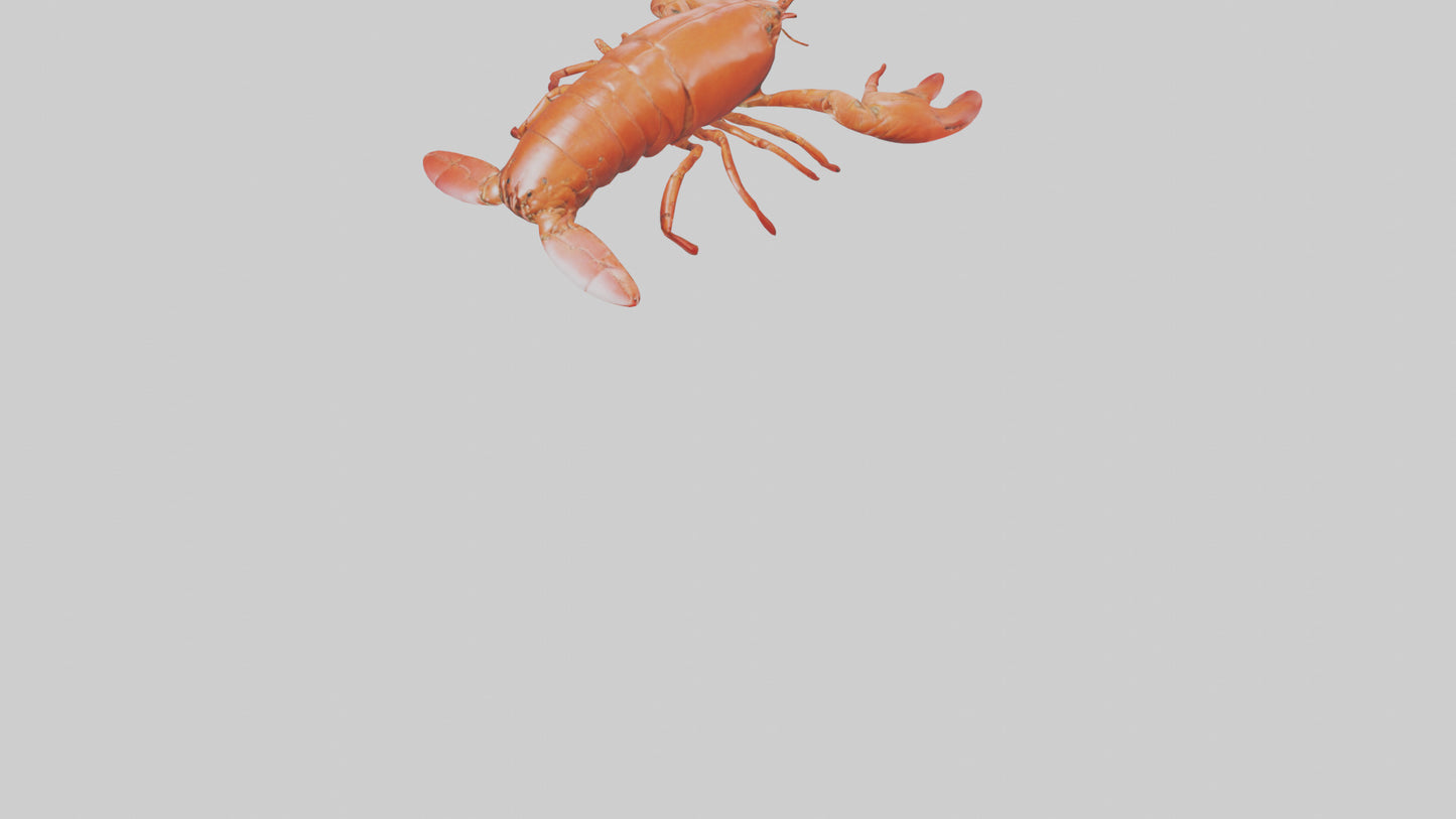 3D model Lobster Body VR / AR / low-poly