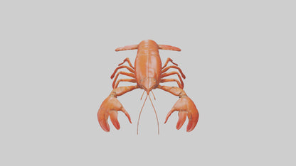 3D model Lobster Body VR / AR / low-poly