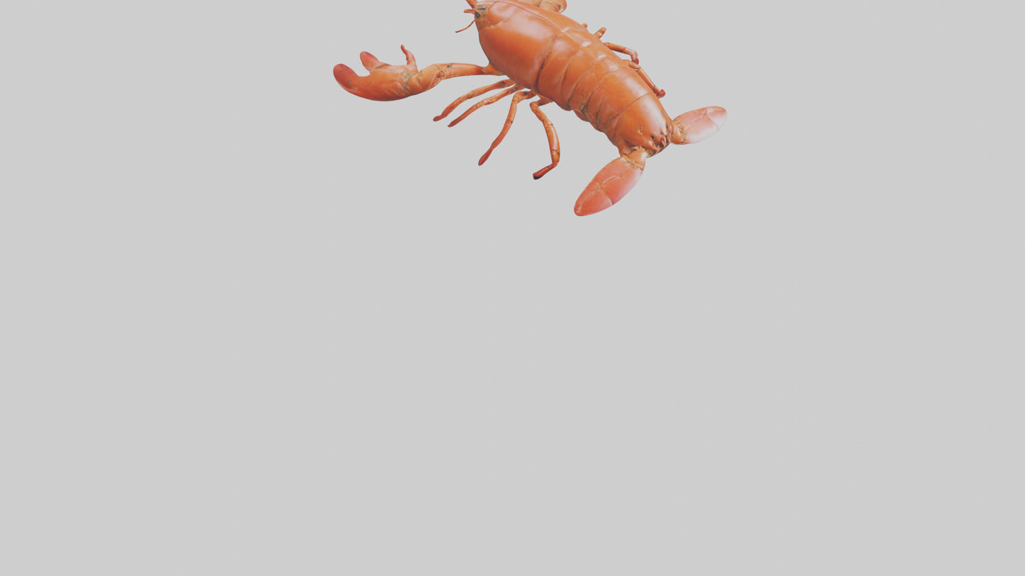 3D model Lobster Body VR / AR / low-poly