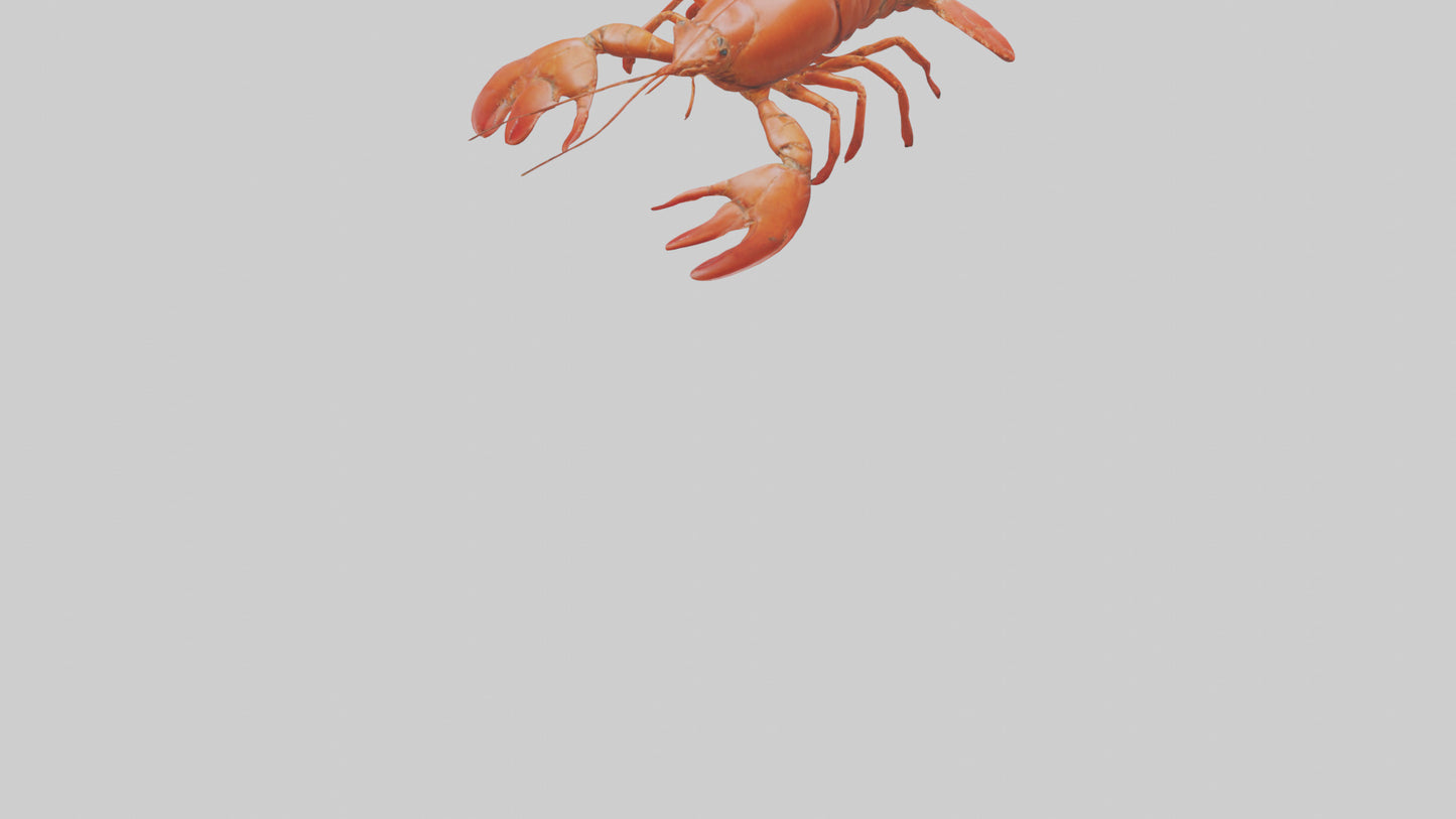 3D model Lobster Body VR / AR / low-poly