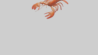 3D model Lobster Body VR / AR / low-poly