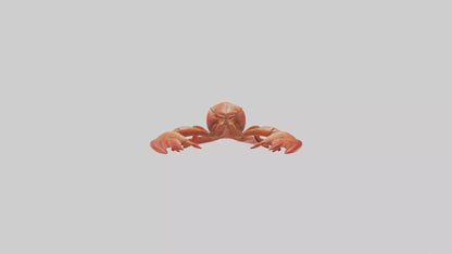 3D model Lobster Body VR / AR / low-poly