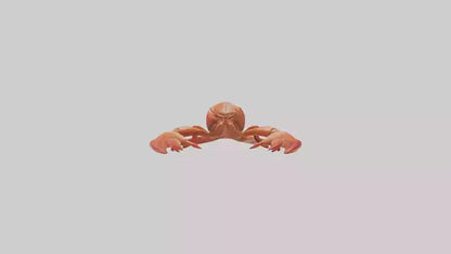 3D model Lobster Body VR / AR / low-poly
