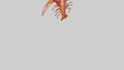 3D model Lobster Body Model VR / AR / low-poly