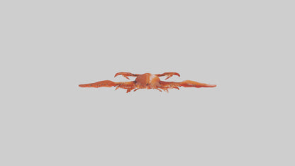 3D model Lobster Body Model VR / AR / low-poly