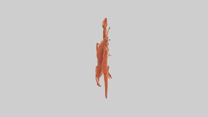 3D model Lobster Body Model VR / AR / low-poly