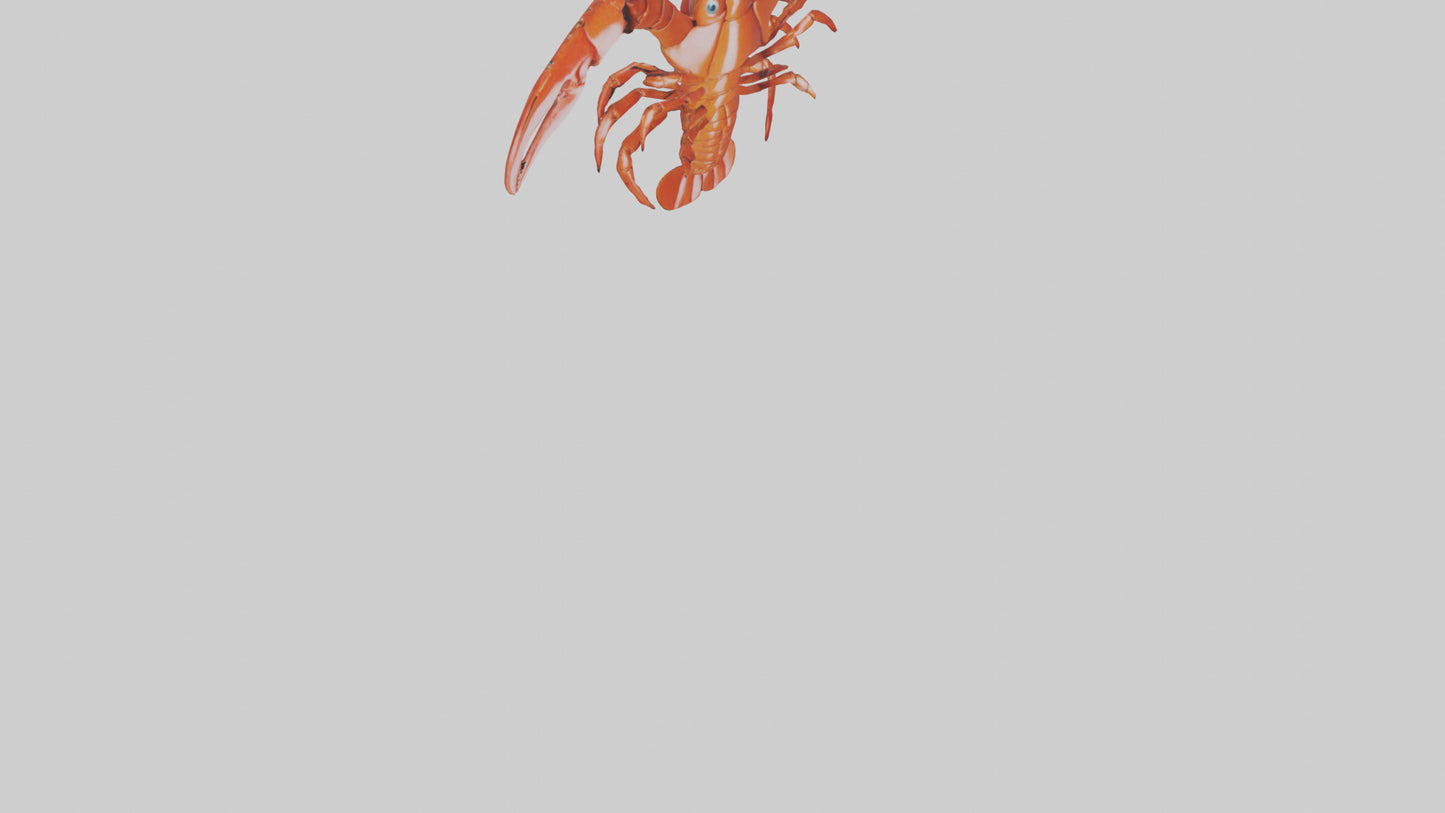 3D model Lobster Body Model VR / AR / low-poly