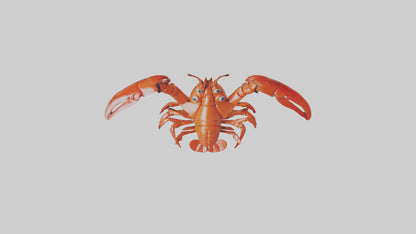 3D model Lobster Body Model VR / AR / low-poly