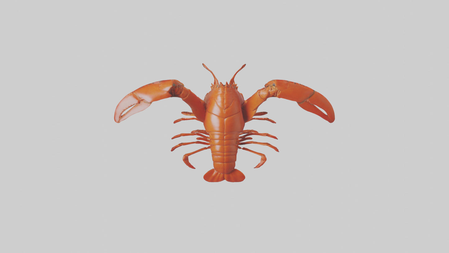 3D model Lobster Body Model VR / AR / low-poly