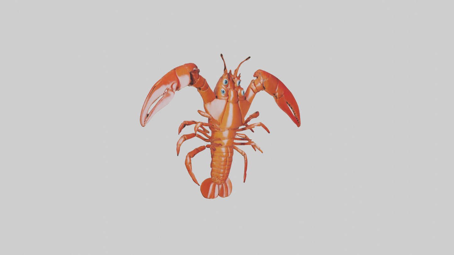3D model Lobster Body Model VR / AR / low-poly