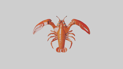 3D model Lobster Body Model VR / AR / low-poly