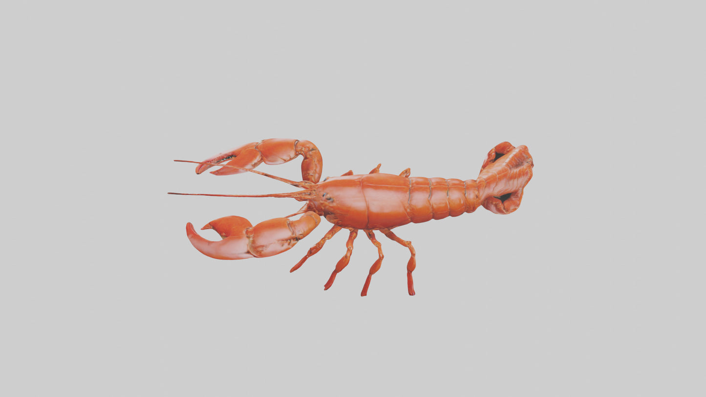 3D model Lobster crawling model VR / AR / low-poly