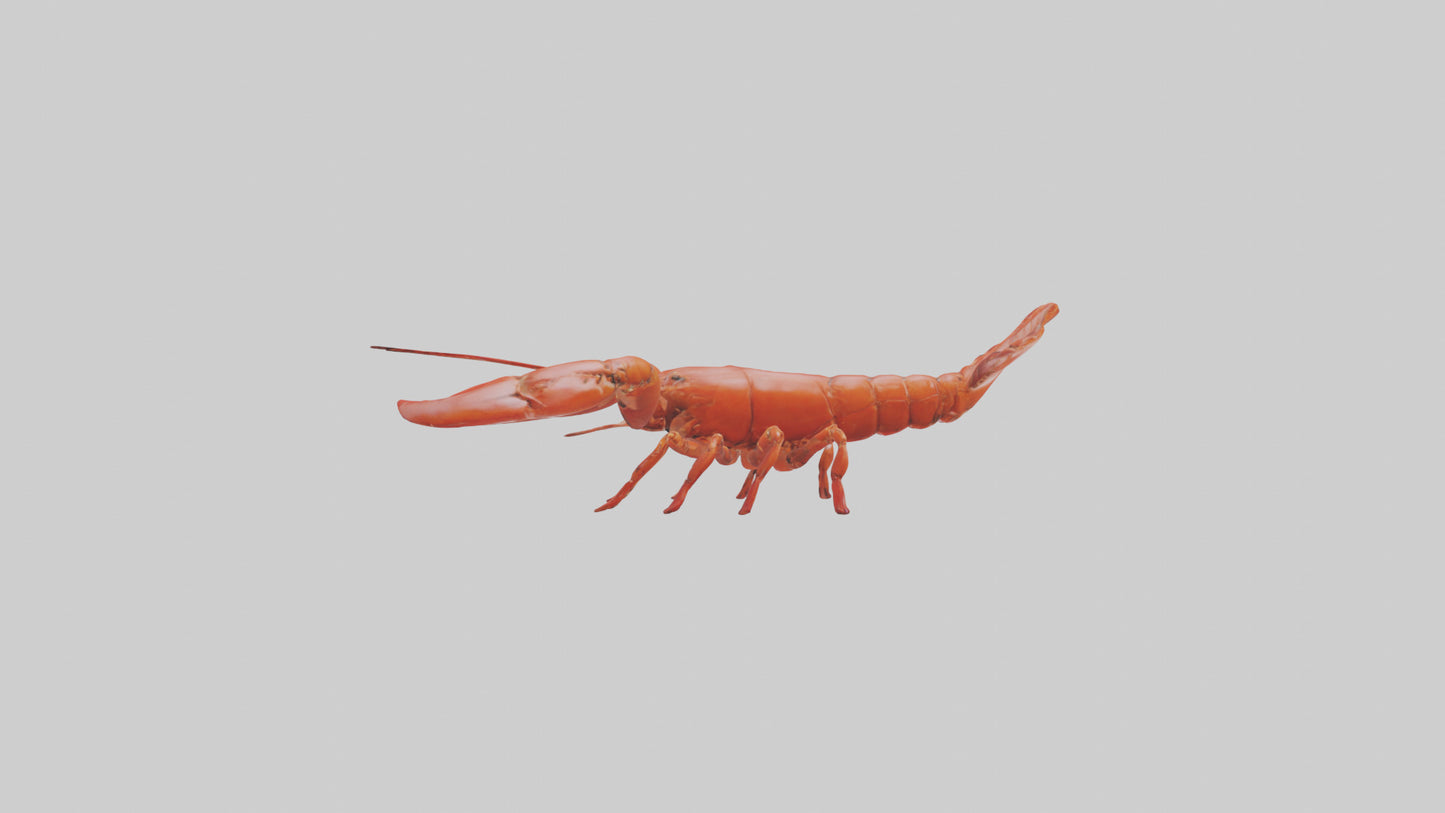 3D model Lobster crawling model VR / AR / low-poly