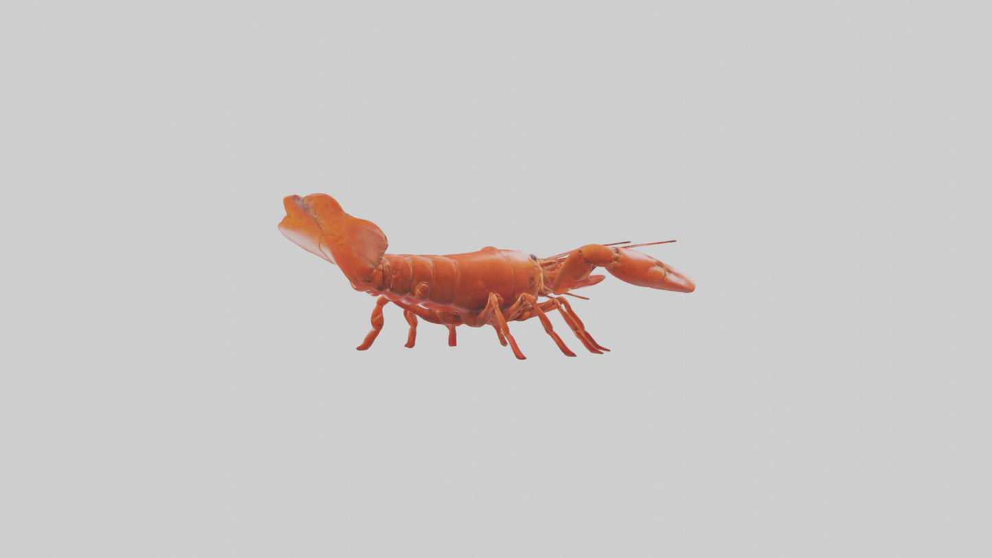 3D model Lobster crawling model VR / AR / low-poly
