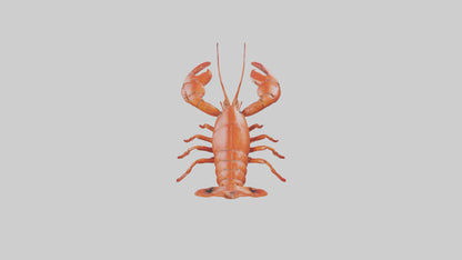 3D model Lobster crawling model VR / AR / low-poly