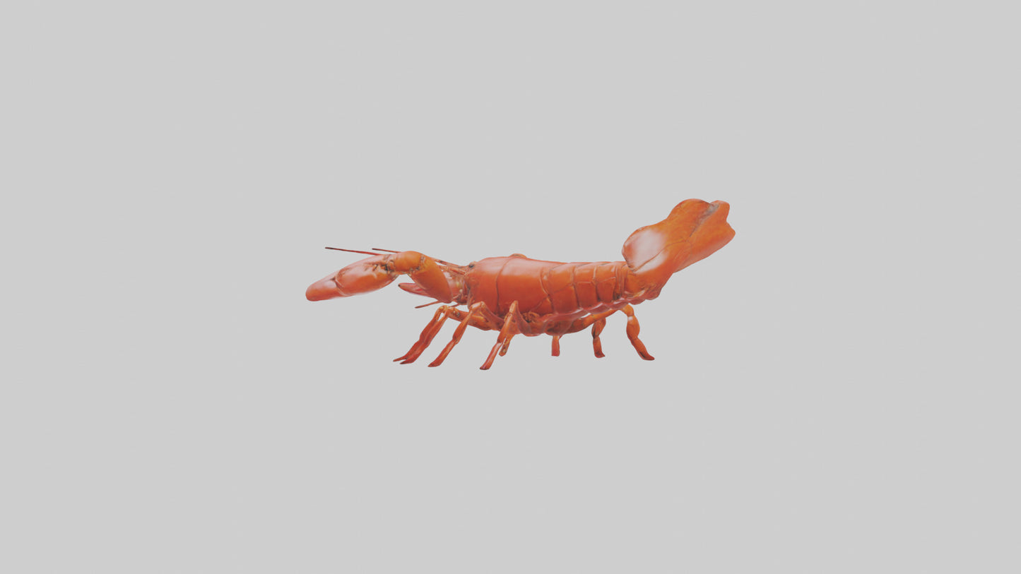 3D model Lobster crawling model VR / AR / low-poly