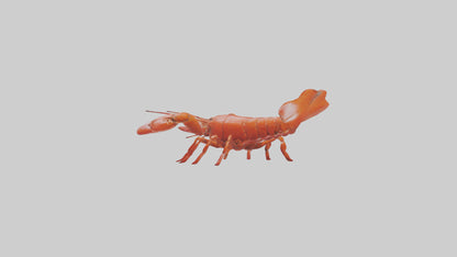 3D model Lobster crawling model VR / AR / low-poly