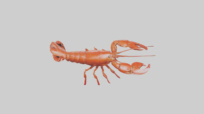 3D model Lobster crawling model VR / AR / low-poly