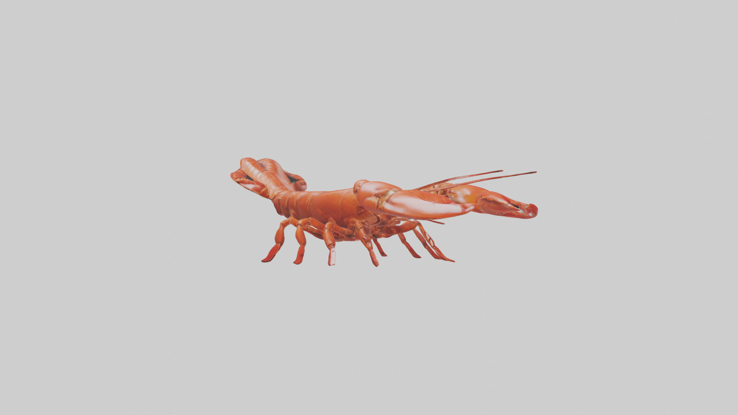 3D model Lobster crawling model VR / AR / low-poly