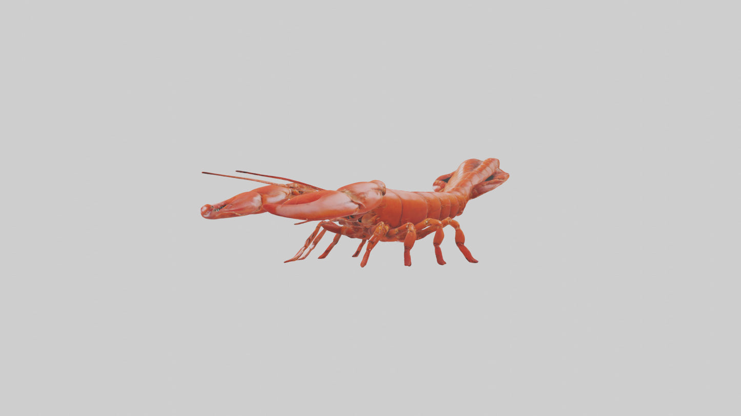 3D model Lobster crawling model VR / AR / low-poly