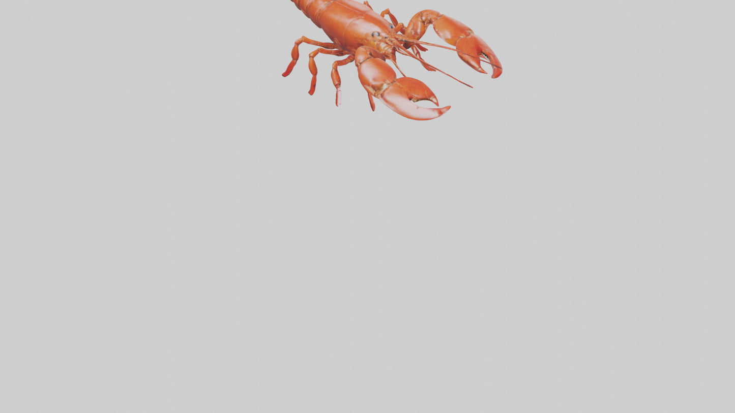 3D model Lobster crawling model VR / AR / low-poly