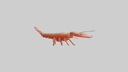 3D model Lobster crawling model VR / AR / low-poly