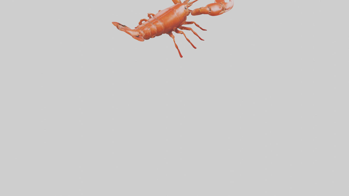 3D model Lobster crawling model VR / AR / low-poly