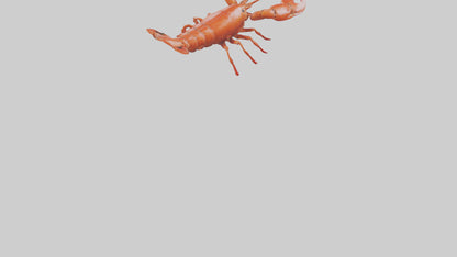 3D model Lobster crawling model VR / AR / low-poly