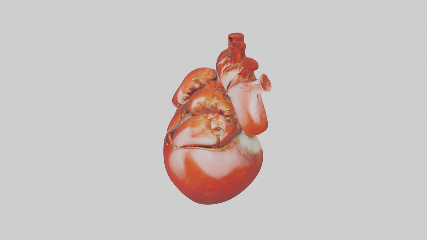 3D model Lobster Heart VR / AR / low-poly