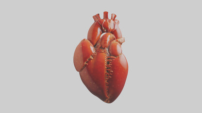 3D model Lobster Heart VR / AR / low-poly