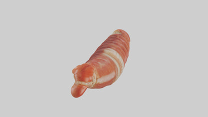 3D model Lobster Small Intestine VR / AR / low-poly