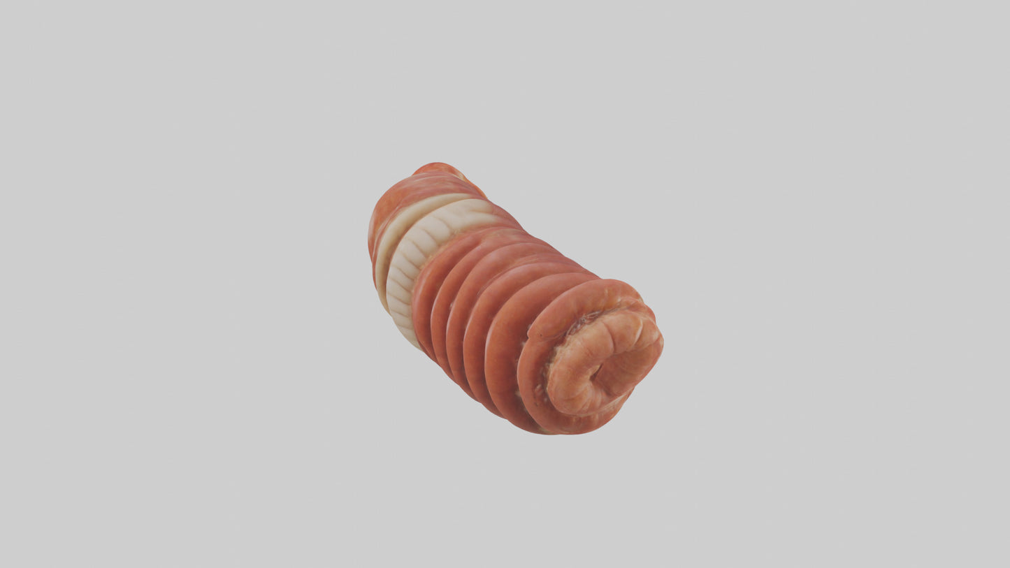 3D model Lobster Small Intestine VR / AR / low-poly