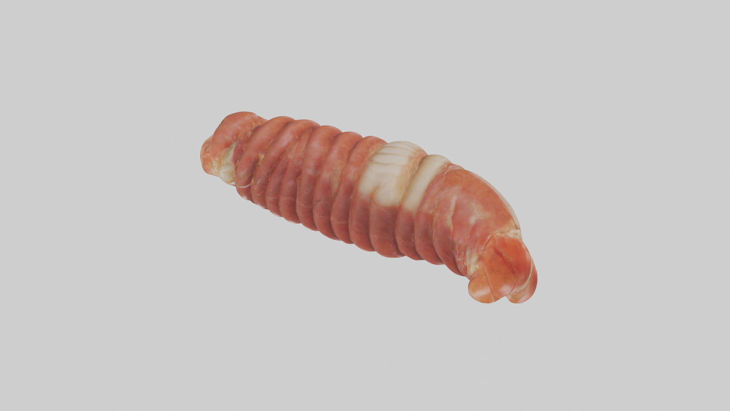 3D model Lobster Small Intestine VR / AR / low-poly
