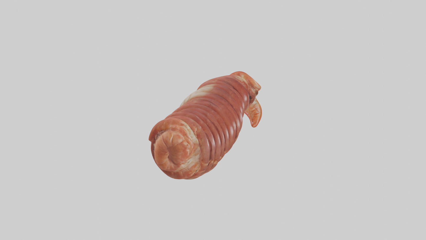 3D model Lobster Small Intestine VR / AR / low-poly