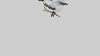 3D model Loggerhead Shrike perched model VR / AR / low-poly