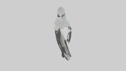 3D model Loggerhead Shrike perched model VR / AR / low-poly
