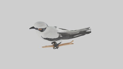 3D model Loggerhead Shrike perched model VR / AR / low-poly