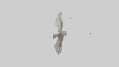 LongEared Owl flying model VR / AR / low-poly