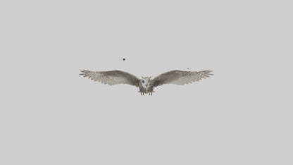 LongEared Owl flying model VR / AR / low-poly