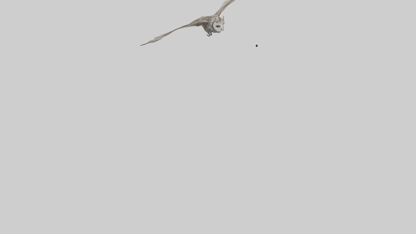 LongEared Owl flying model VR / AR / low-poly