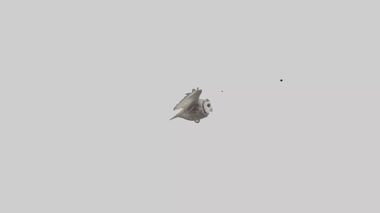 LongEared Owl flying model VR / AR / low-poly