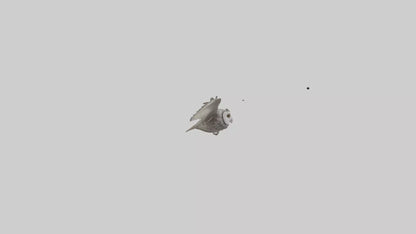 LongEared Owl flying model VR / AR / low-poly