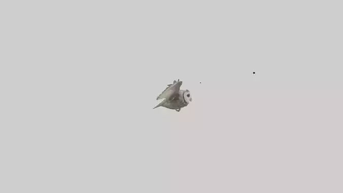 LongEared Owl flying model VR / AR / low-poly