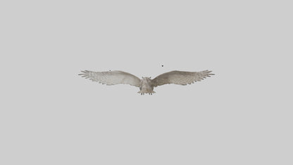 LongEared Owl flying model VR / AR / low-poly