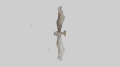 LongEared Owl flying model VR / AR / low-poly