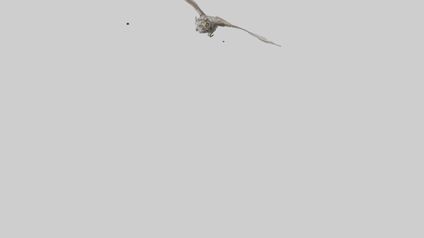 LongEared Owl flying model VR / AR / low-poly